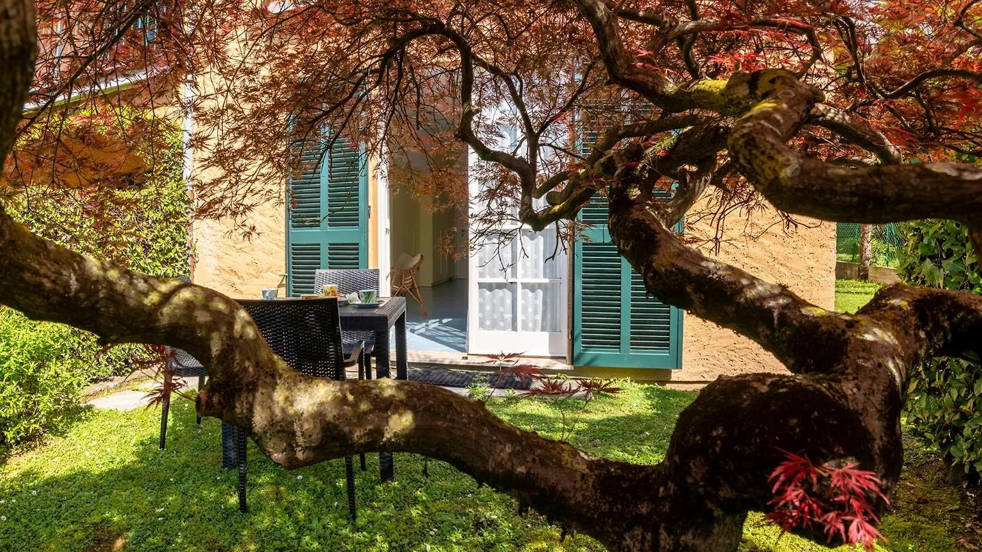 Emma'S House Διαμέρισμα Lierna